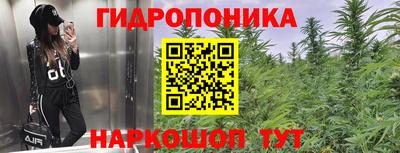 MESCALINE Камышлов