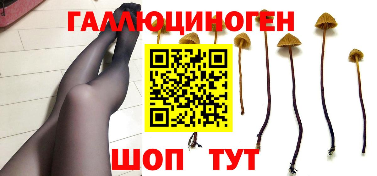Псилоцибиновые грибы мухоморы  Псилоцибиновые грибы мицелий  Нижневартовск  Вход с VPN 